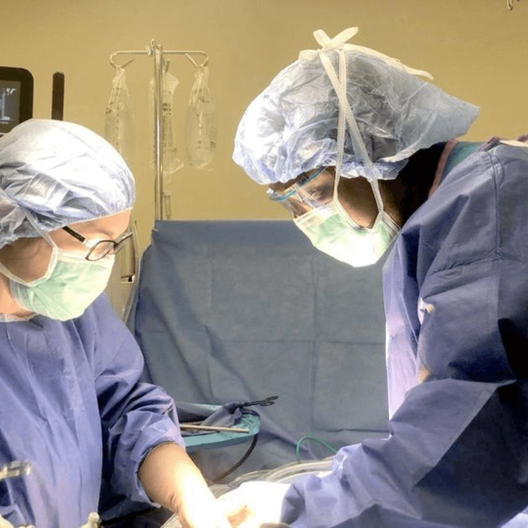 Home - Society of Black Colon and Rectal Surgeons 8